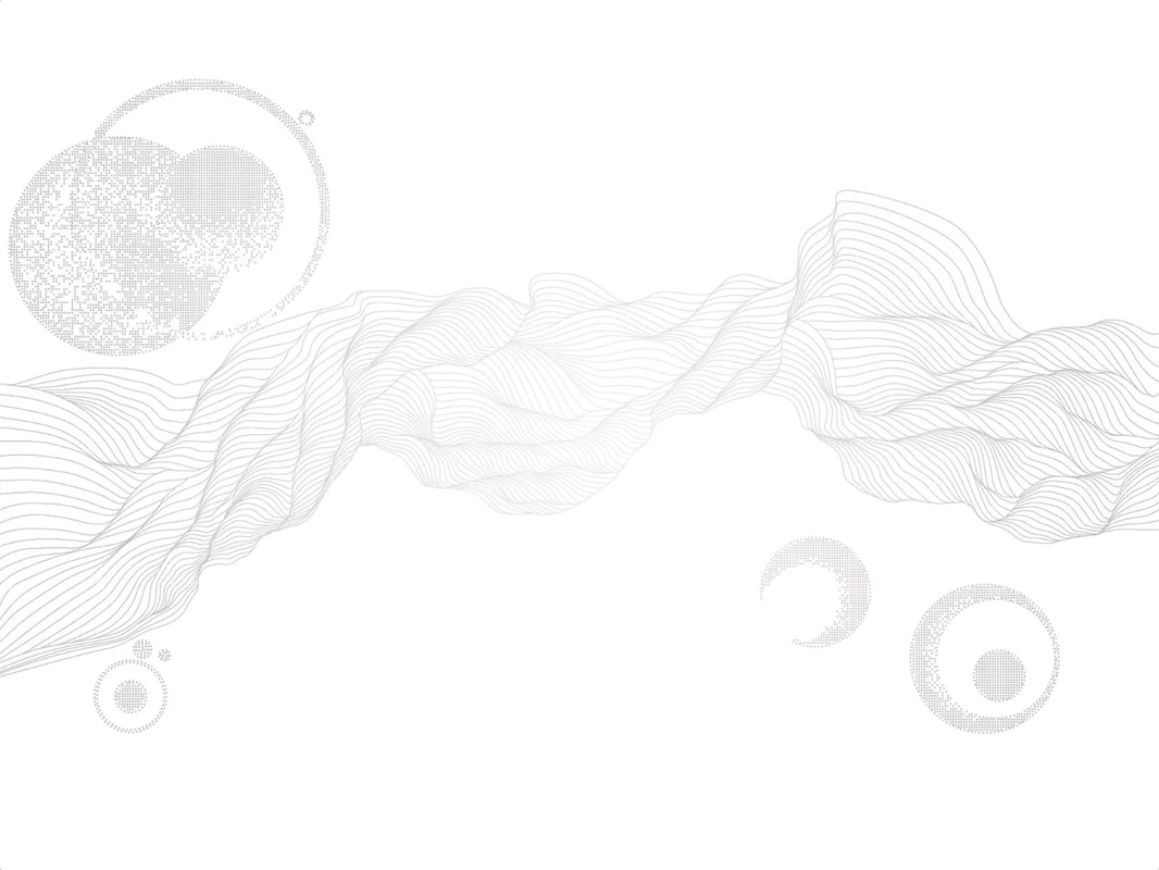 Фотообои на стену - графика, серые, линии, вуаль, шары