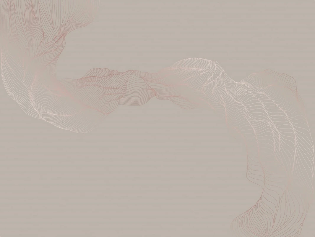 Фотообои на стену - графика, линии, медные обои, медный цвет обои, вуаль, бежевые, серые