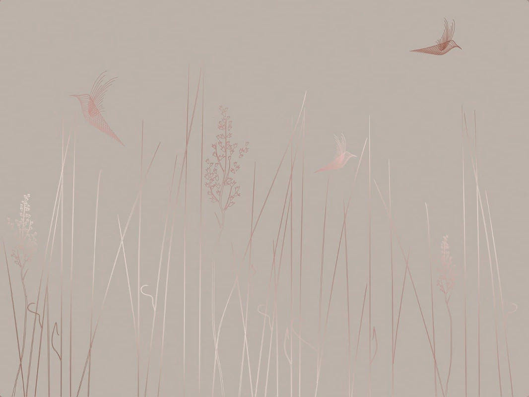Фотообои на стену - графика, линии, медные обои, медный цвет обоев, трава, птицы, бежевый, серый
