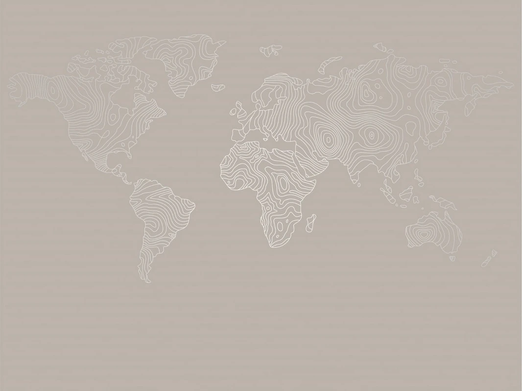 Фотообои на стену - графика, линии, обои с серебром, обои с серебром для стен, обои светлые с серебром, карта мира, карта, бежевые, бежевая, серая