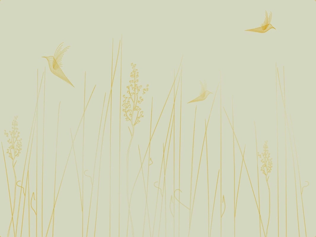 Фотообои на стену - графика, золотые линии, обои с золотыми линиями, обои с золотым рисунком, зеленая, трава, птицы