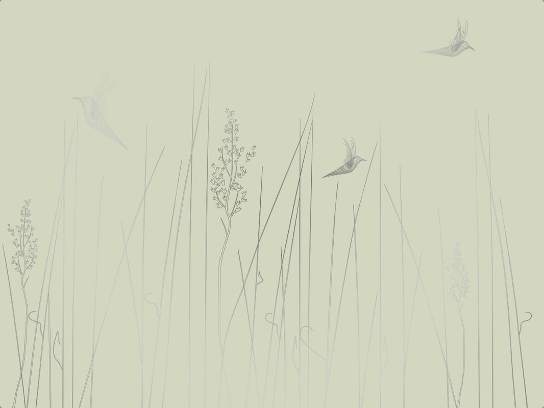 Фотообои на стену - графика, линии, обои с серебром, обои с серебром для стен, обои светлые с серебром, зеленая, трава, птицы