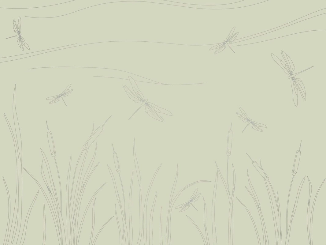 Фотообои на стену - графика, с серебром, зеленая, трава, стрекоза