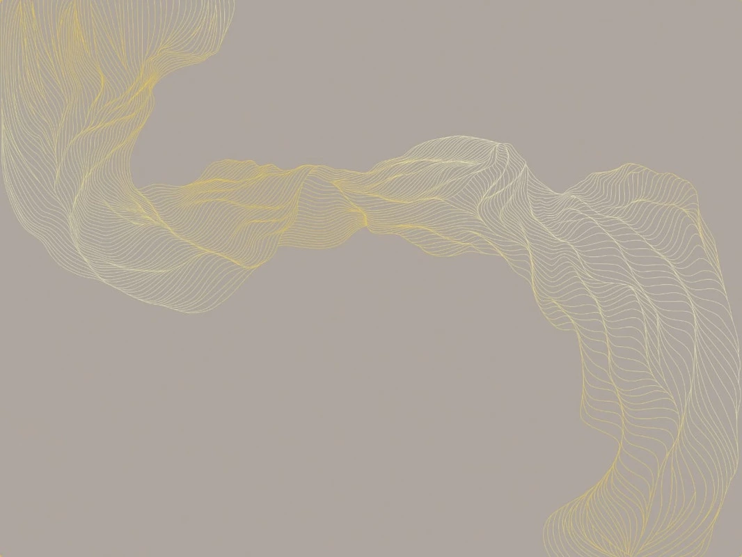 Фотообои на стену - графика, золотые линии, бежевые, темная, обои графикой, обои с золотым рисунком, обои для стен с золотом, обои с золотыми линиями, вуаль, коричневые