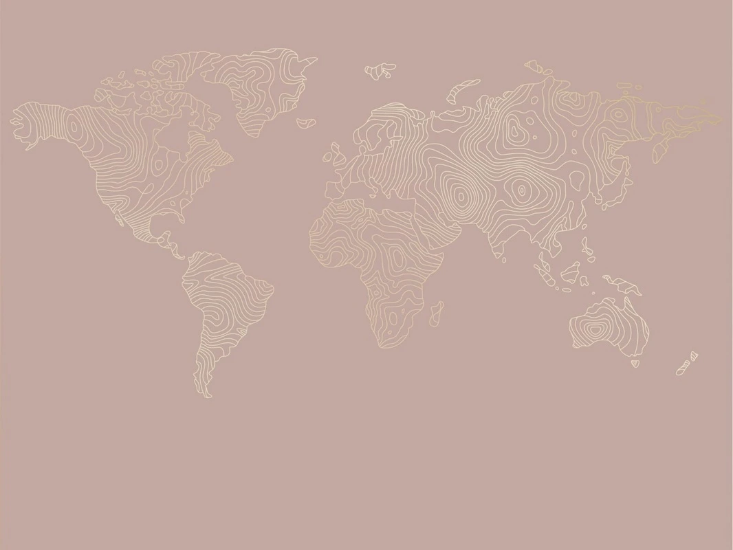 Фотообои на стену - графика, розовая, золотые линии, карта мира, карта, в офис, в кабинет