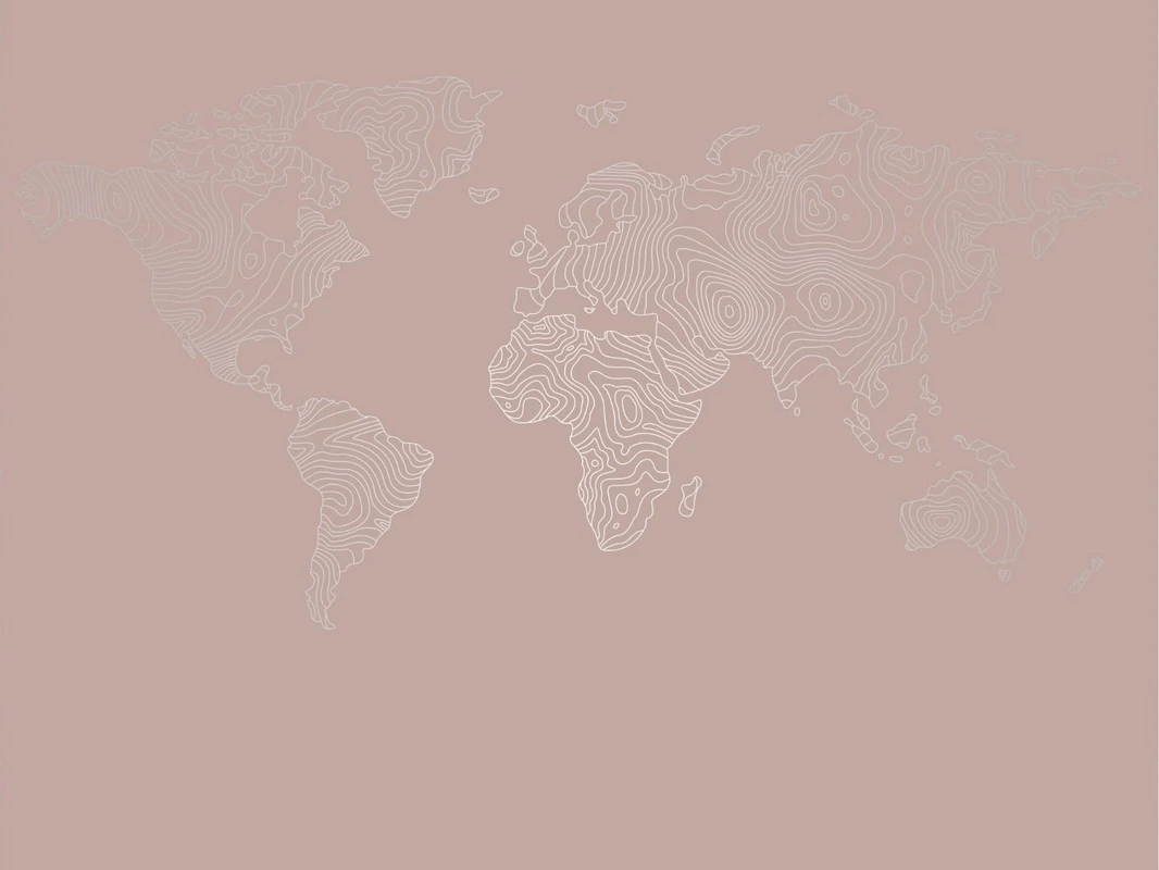 Фотообои на стену - графика, розовая, линии, с серебром, карта мира, карта