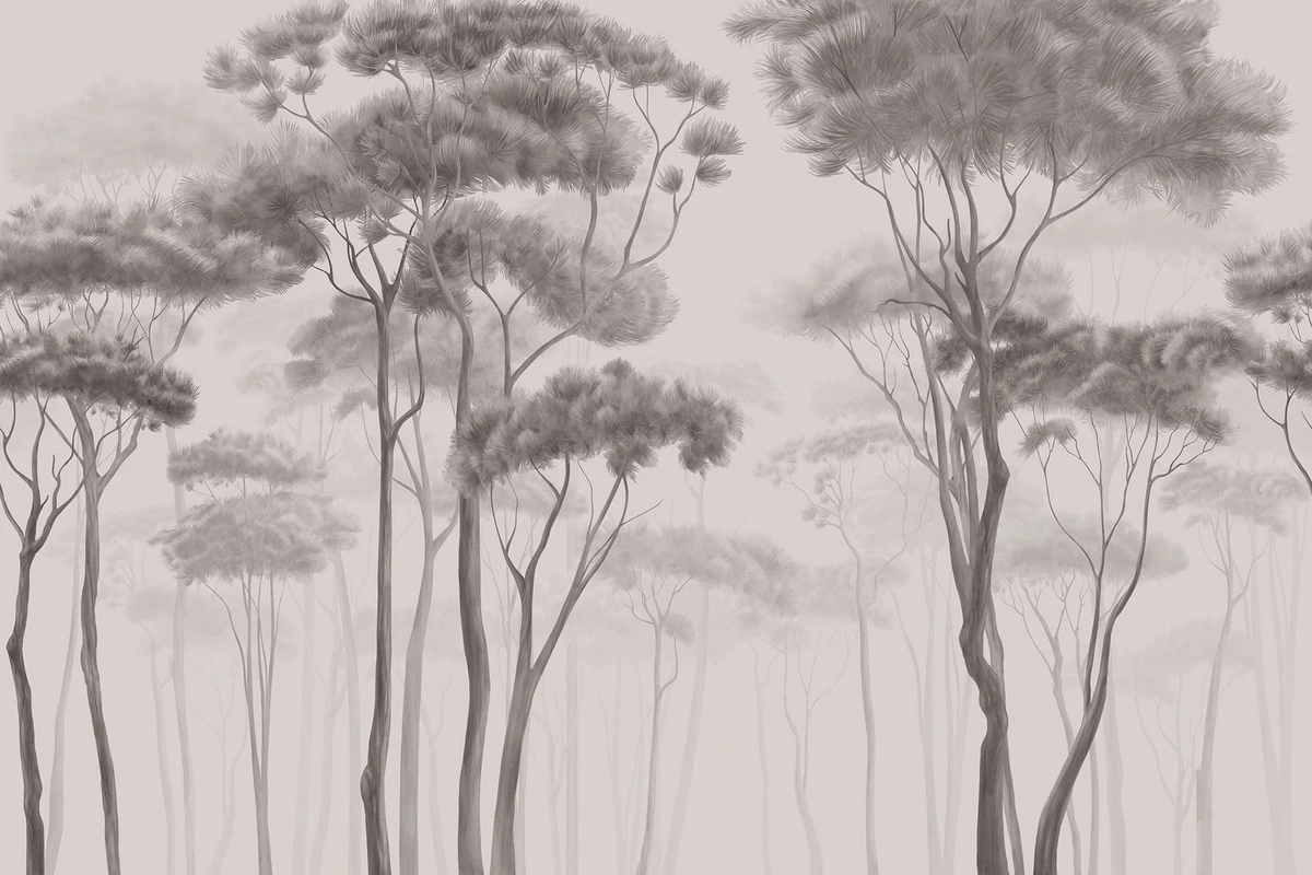 Фотообои на стену - лес, сосны, туман, монохром, серые оттенки, минимализм, стиль дзен, расслабляющий, японская эстетика, высокие деревья, тонкие стволы, интерьер, современные обои, для спальни, спокойная атмосфера, художественный стиль, графика, природа, умиротворение, для офиса, нейтральные цвета, медитативный эффект