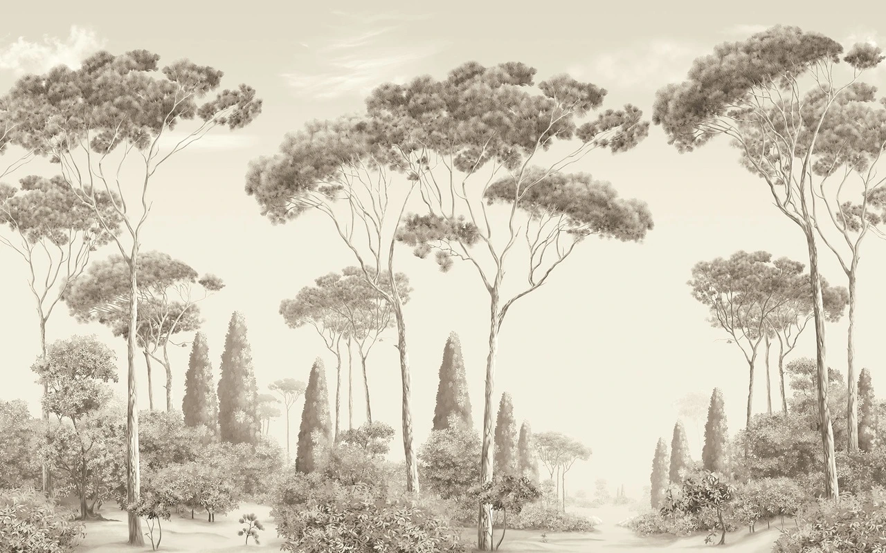 Фотообои на стену - сосны, кипарисы, винтаж, ретро стиль, монохром, деревья, пейзаж, природа, лес, акварель, светлый фон, теплые оттенки, коричневые тона, минимализм, тишина, для спальни, для офиса, антикварный стиль, изысканный, мягкий контраст, классический интерьер, пастельный, ботанический, панорамный вид