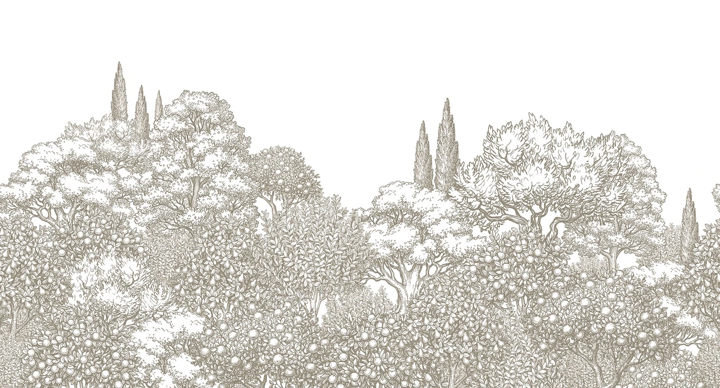 Фотообои на стену - кипарисы, фруктовые деревья, цитрусовые, ботаническая гравюра, монохром, винтажный стиль, лес, рисунок пером, графика, флора, деревья без цвета, тонкая линия, декоративный узор, классика, природа, черно-белые, пастельные, ретро, интерьер в стиле винтаж, для кухни, в коридор, художественный лес