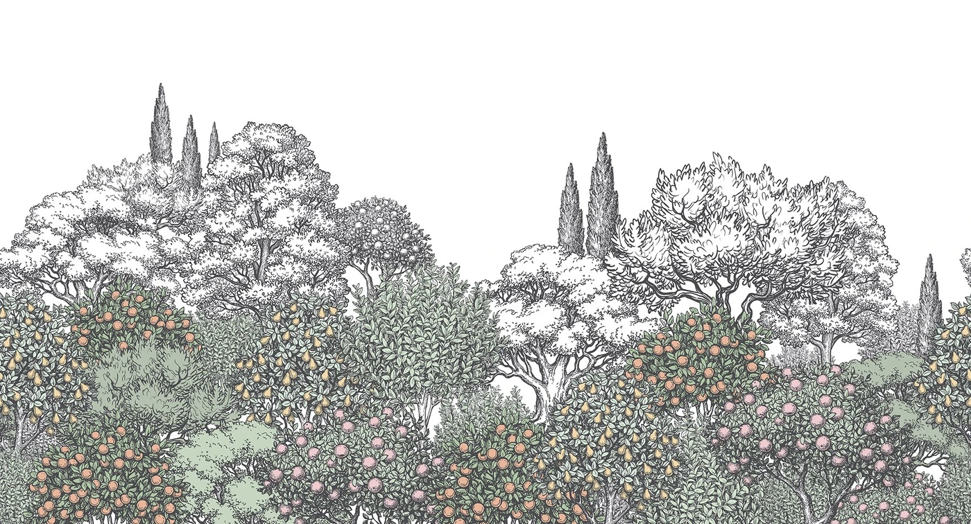 Фотообои на стену - кипарисы, апельсины, лимоны, грейпфруты, цитрусовый сад, ботаническая иллюстрация, цветная гравюра, старинный стиль, деревья с плодами, флора, пейзаж, сад, классика, тонкая линия, для кухни, в столовую, природа, лес, ретро, ручная графика, пастельные оттенки, растительность