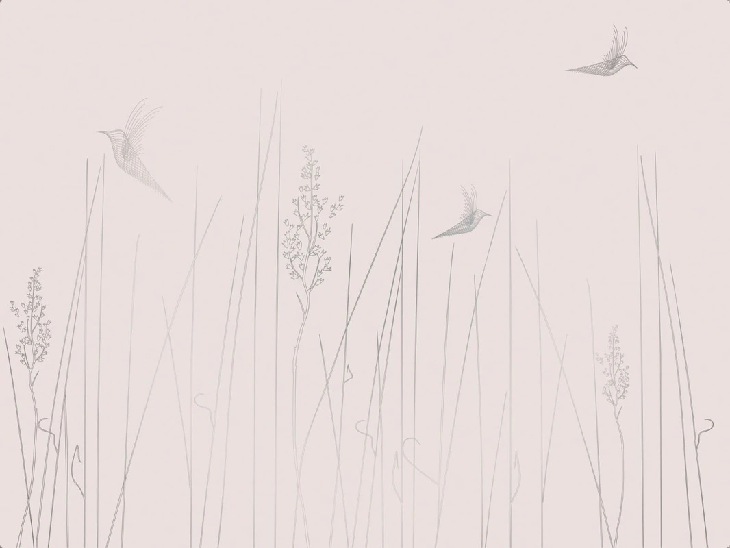 Фотообои на стену - графика, розовая, светлая, обои с серебром для стен, трава, птицы