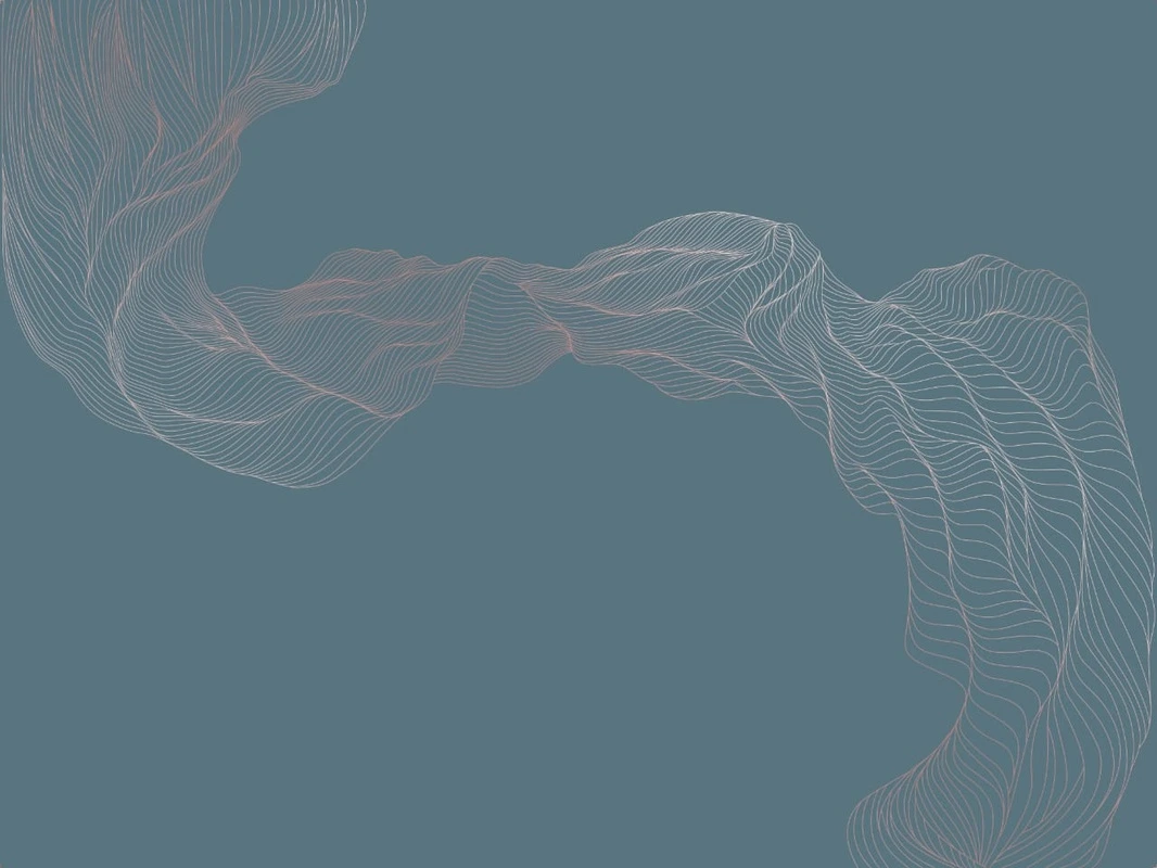 Фотообои на стену - графика, медные, линии, вуаль, бирюзовые, темные