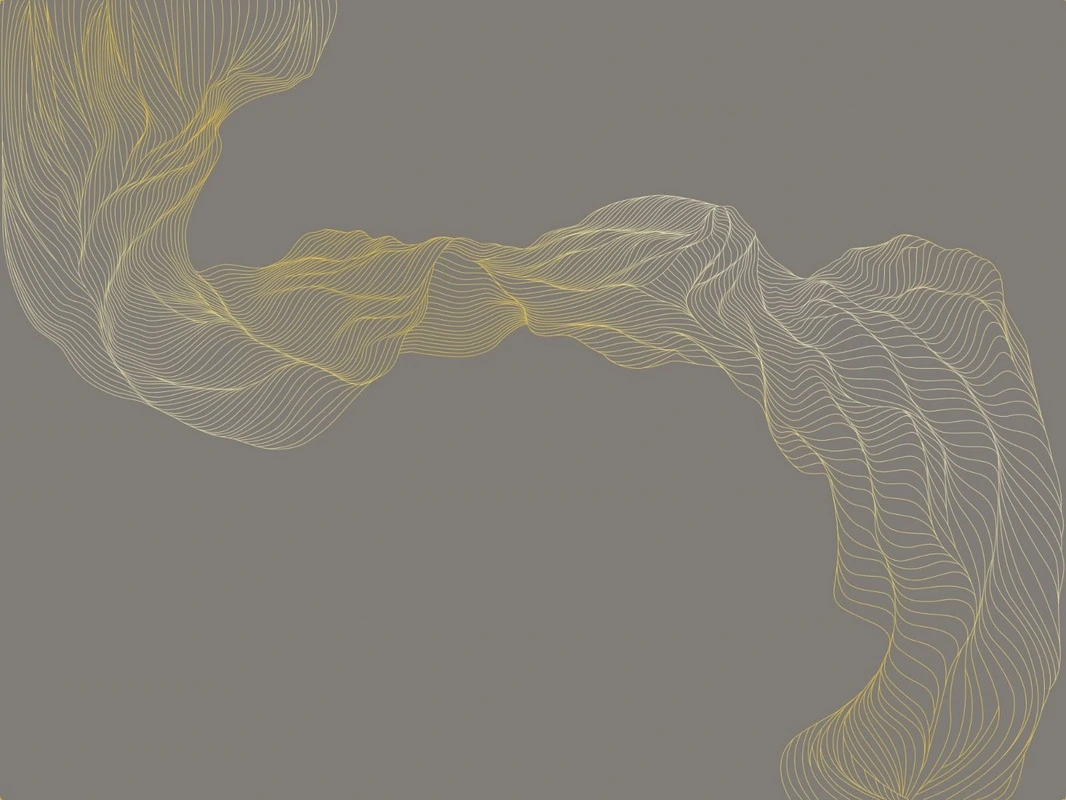 Фотообои на стену - графика, золотые линии, в гостиницу, с золотом, вуаль, коричневая, темная