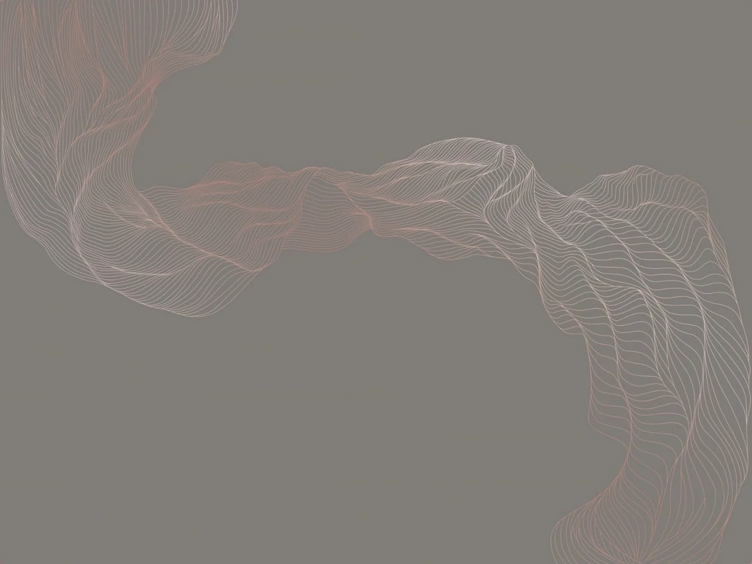 Фотообои на стену - графика, медные, с медью, вуаль, коричневая, темная