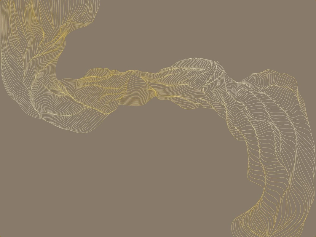 Фотообои на стену - графика, золотые линии, вуаль, рыже-коричневая, темная