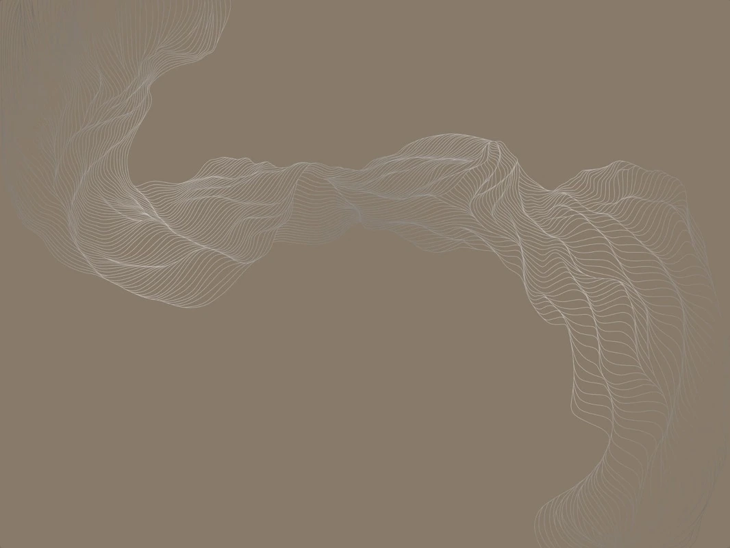 Фотообои на стену - графика, с серебром, линии, серебряная, вуаль, в спальню, в гостиную, в гостиницу, темно коричневая, темная