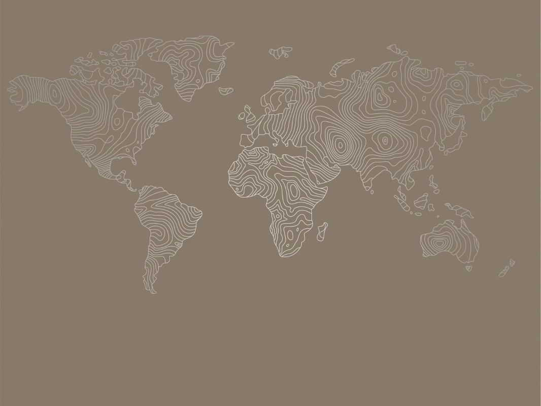 Фотообои на стену - графика, с серебром, карта мира, карта, в офис, в кабинет, в гостиницу, темно коричневая, темная