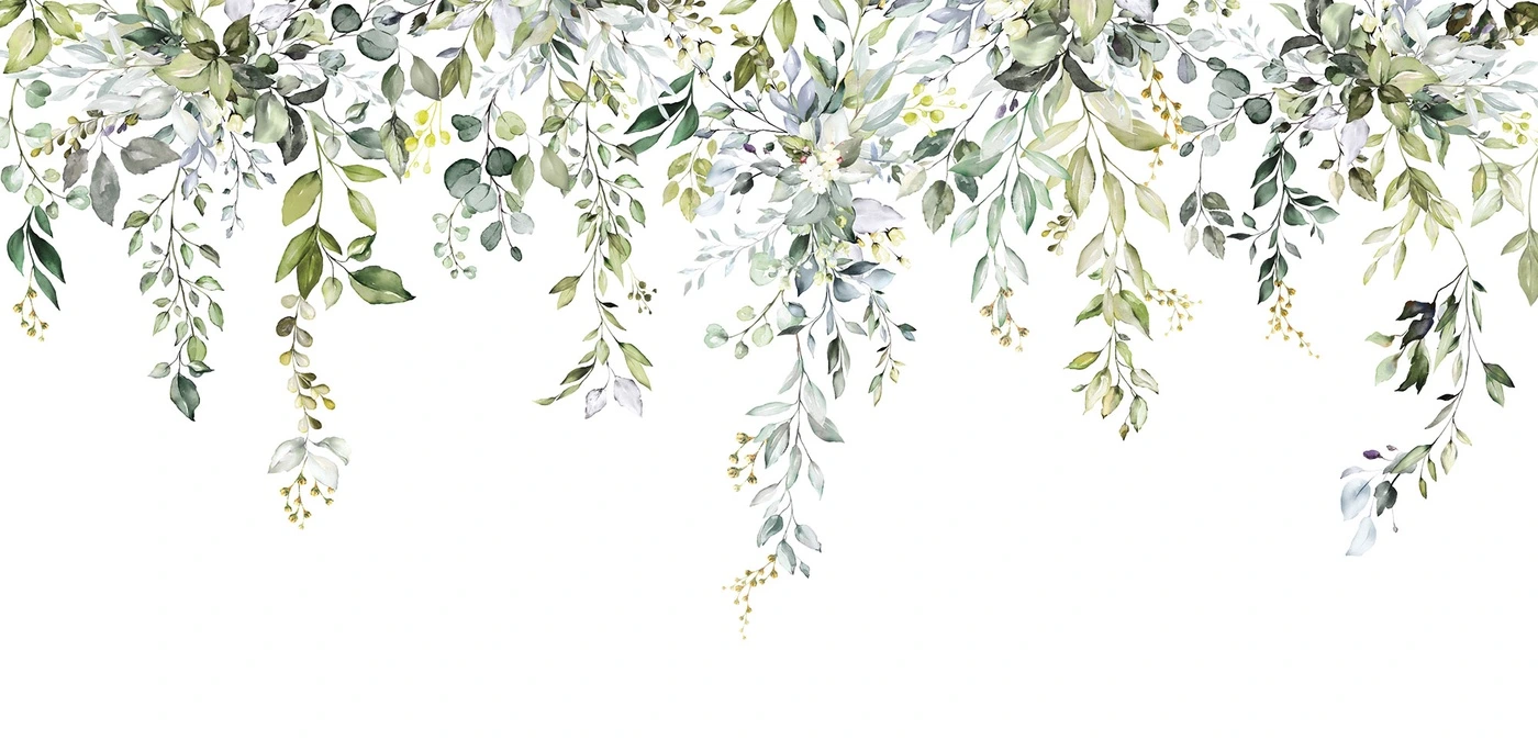 Фотообои и фрески на стену - шинуазри, зелёные листья, ветви, акварельный стиль, белый фон, флора, декоративные, лёгкий дизайн, для гостиной, для спальни, для кухни