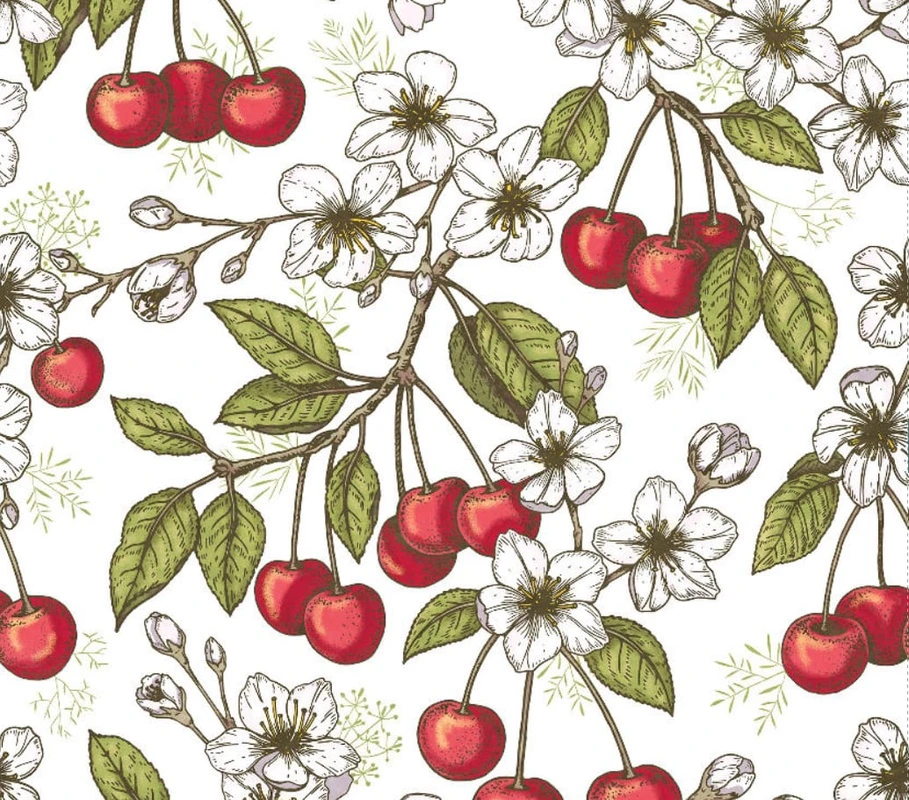 Фотообои и фрески на стену - цветы, обои ягоды, обои с ягодами, ягоды фрукты обои, красивые обои ягод, обои с ягодами на стену, вишня, на белом фоне