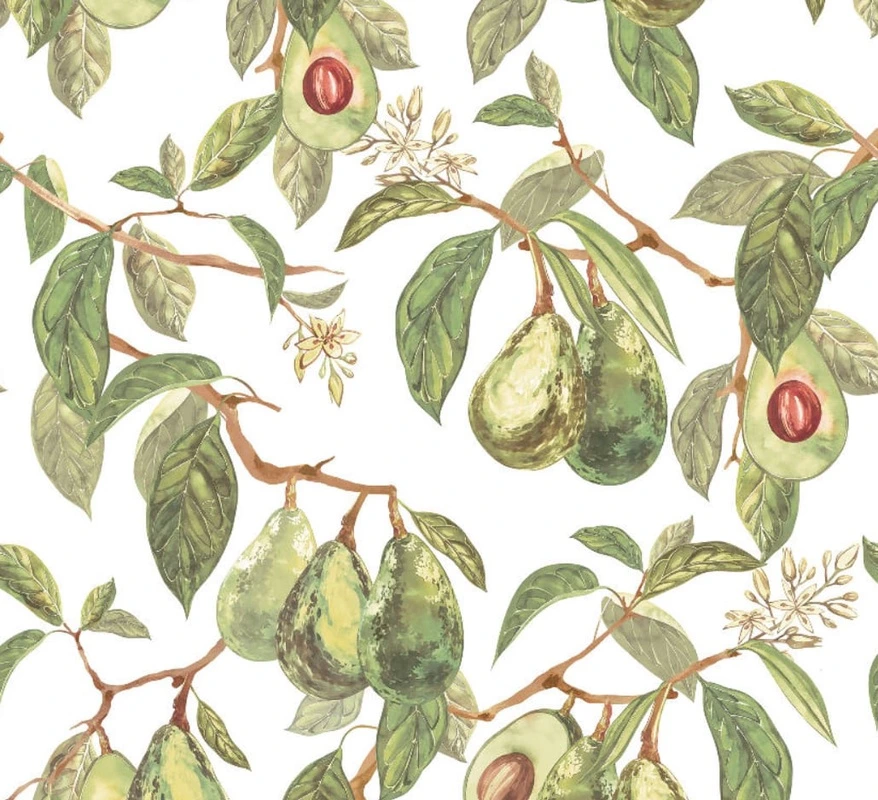 Фотообои и фрески на стену - цветы, листья, фрукты, овощи, авокадо, зеленая, на белом фоне