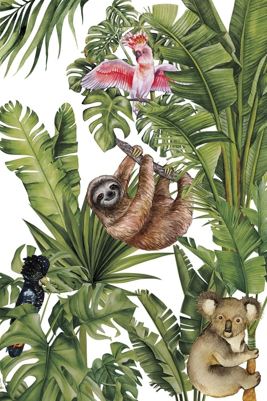 Фотообои и фрески на стену - тропические листья, белый фон, ленивец, коала, какаду розовый, черный какаду, экзотические птицы, джунгли, ботанический рисунок, яркие животные, австралийская флора и фауна, для детской, для гостиной, тропический стиль