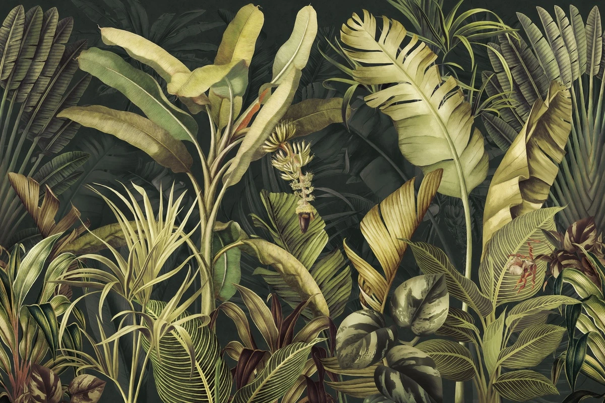 Фотообои и фрески на стену - тропические листья, банановые пальмы, экзотическая флора, джунгли, густая растительность, тёмно-зелёный фон, ботанический принт, декоративные обои, интерьер, природный декор, акцентная стена, тропики, зелень, растения, экзотический дизайн