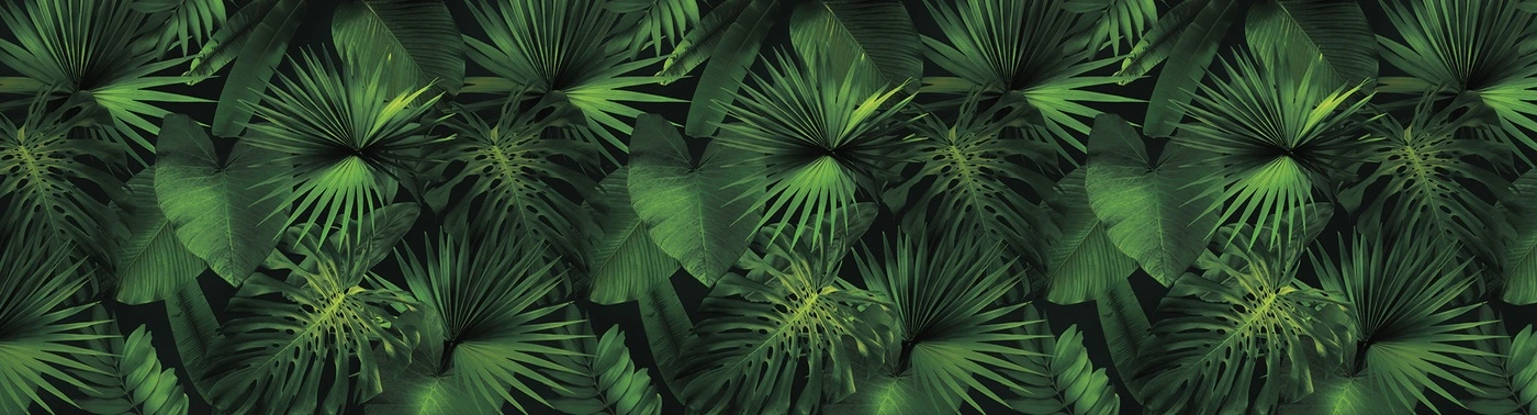 Фотообои и фрески на стену - тропические листья, монстера, пальма, банановые листья, джунгли, густая зелень, тёмный фон, ботанический принт, декоративные обои, интерьер, акцентная стена, экзотическая флора, зелёные растения, природный декор, тропический стиль