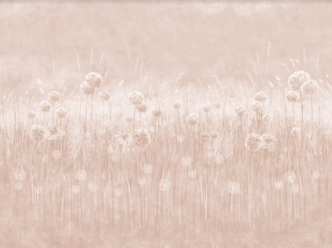 Фотообои на стену - в загородный дом, одуванчики, розовая