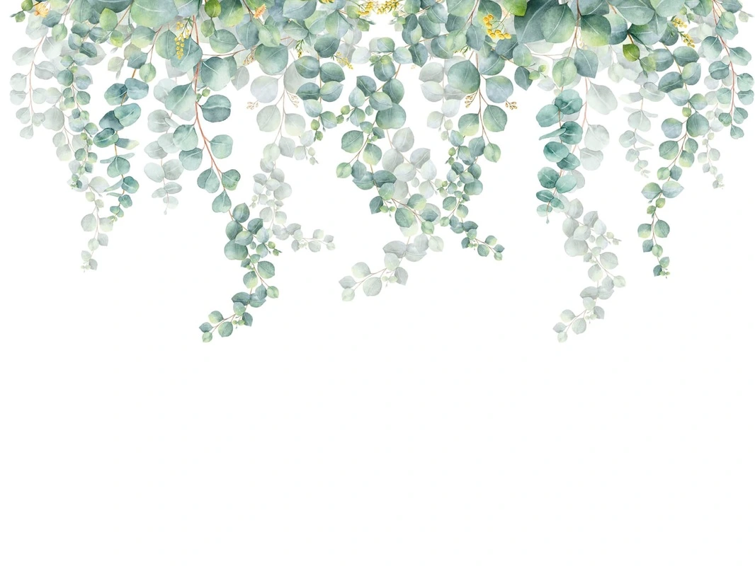 Фотообои на стену - цветы, свисающие, зеленая, ветки, листья, с потолка