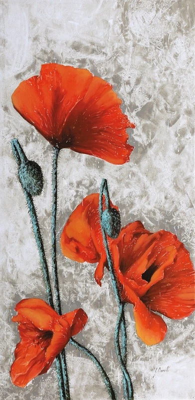 Фотообои на стену - цветы, маки, красная, серая, на штукатурке, вертикальные