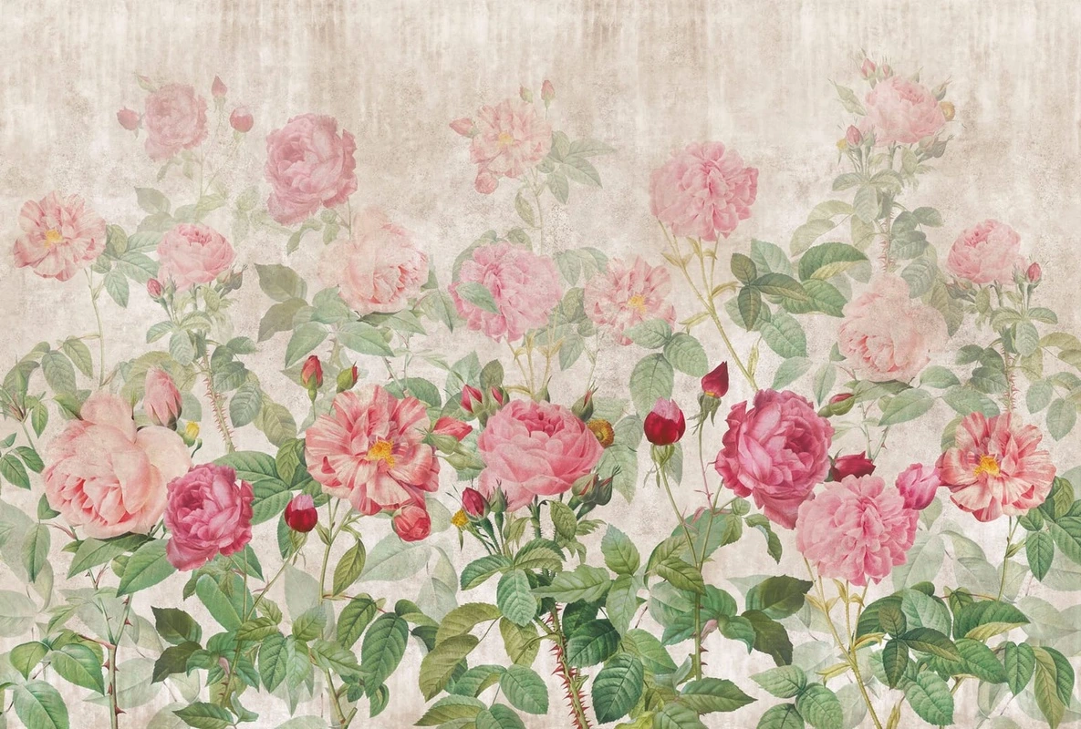 Фотообои на стену - цветы, пионы, розовая, кусты пионов, зеленая, персиковая