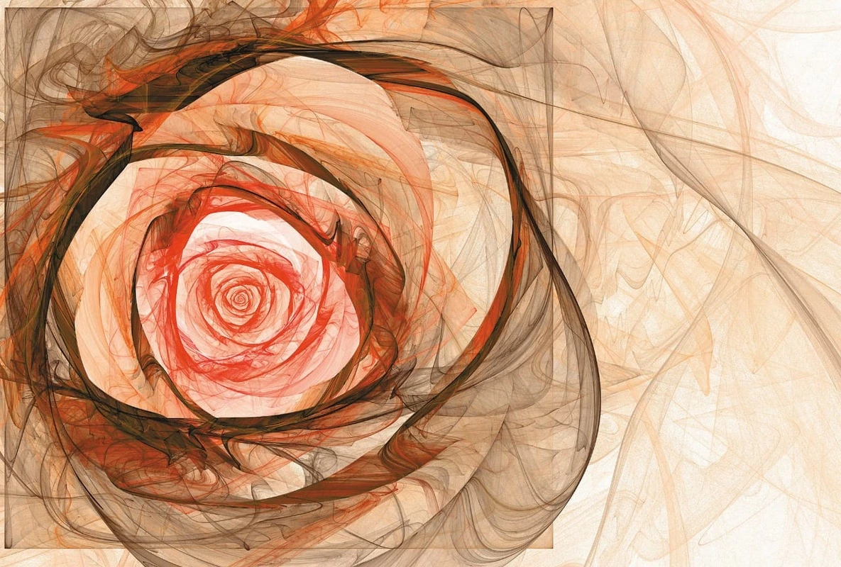 Фотообои на стену - цветы, роза, графичные, персиковая