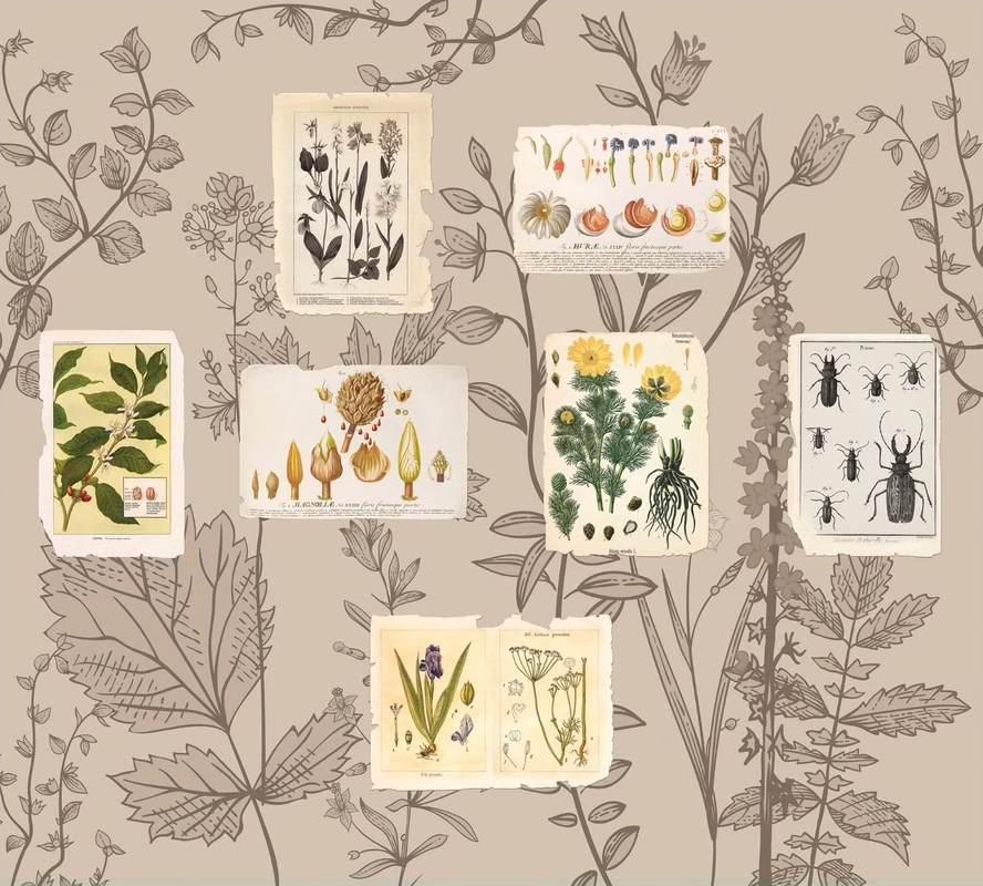 Фотообои на стену - цветы, листья, бежевые, марки