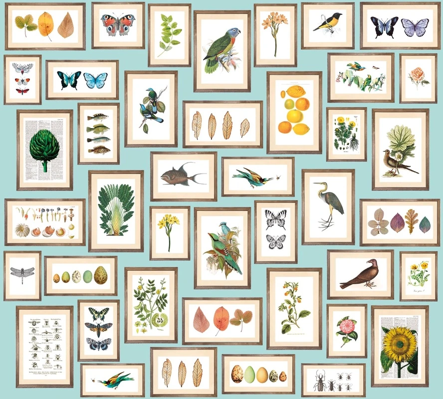 Фотообои на стену - цветы, листья, голубая, гербарий, марки, с животными, картинки, с растениями, с насекомыми