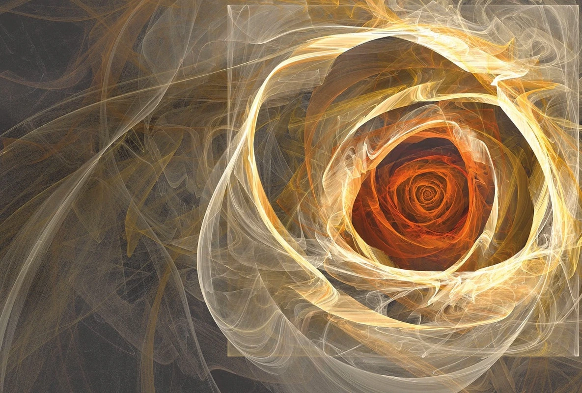 Фотообои на стену - цветы, роза, песочная, с красным, вуаль