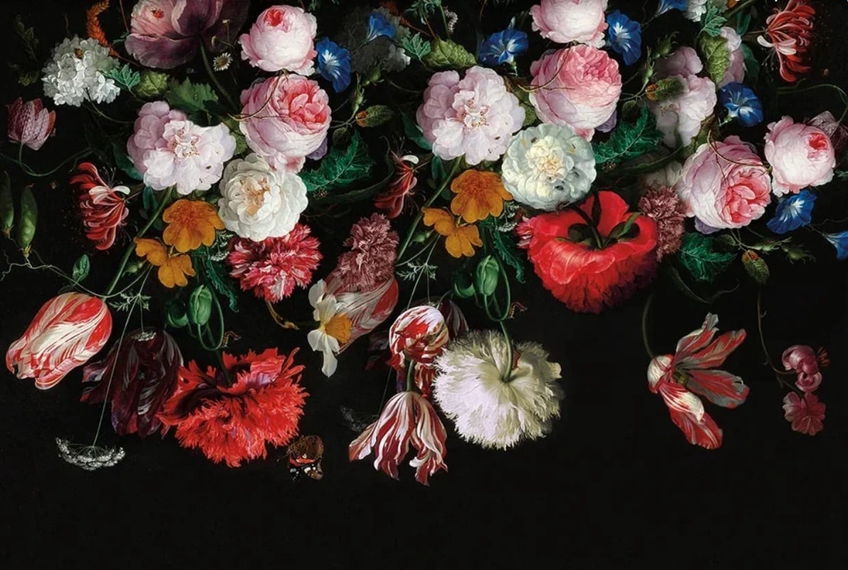 Фотообои на стену - цветы, хейсум, живопись, классика, картины, красная, белые, на черном фоне