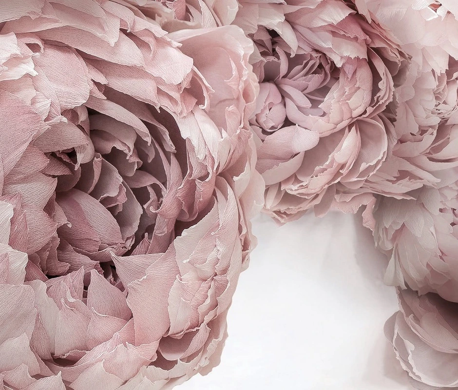 Фотообои на стену - цветы, пионы, серо-розовые, большие