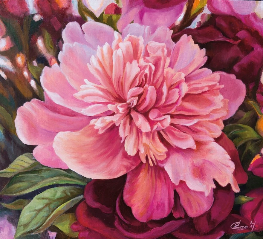 Фотообои на стену - цветы, пионы, розовая, живопись, картины, яркие