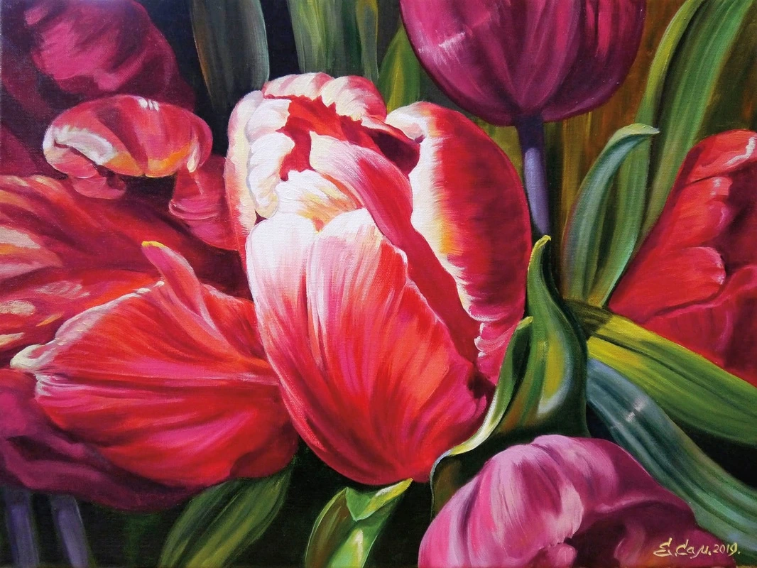 Фотообои на стену - цветы, тюльпаны, красная, живопись, картины