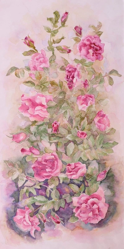 Фотообои на стену - цветы, розы, акварель, розовая, листья, зеленая, на розовом фоне, живопись