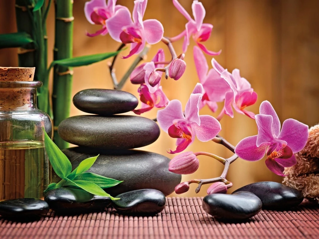 Фотообои на стену - цветы, орхидеи, цвета фуксия, ярко розовые, серые камни