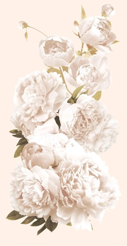 Фотообои на стену - цветы, пионы, белые пионы, вертикальные, на белом фоне
