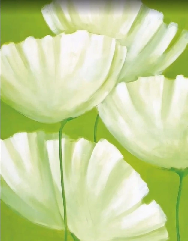 Фотообои на стену - цветы, зеленая, белые, белые цветы