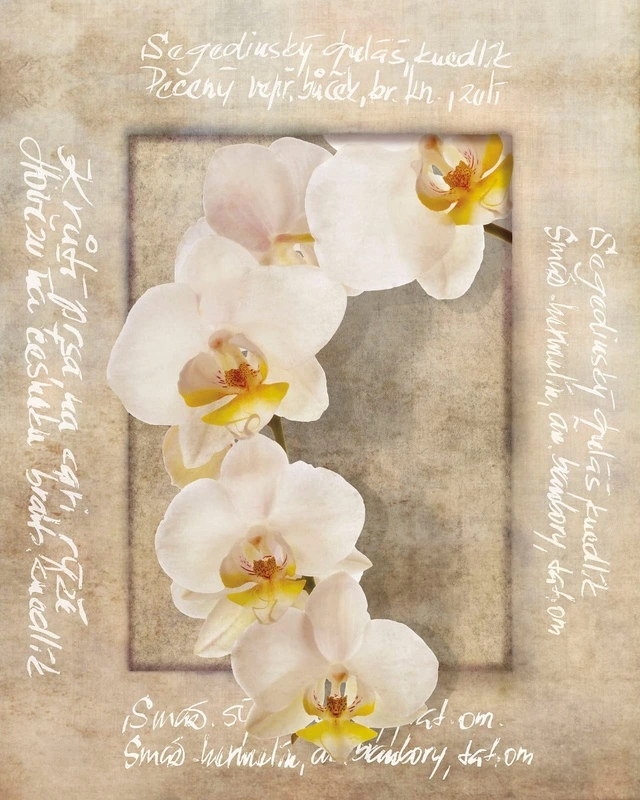 Фотообои на стену - цветы, бежевые, орхидея, белые, с текстом