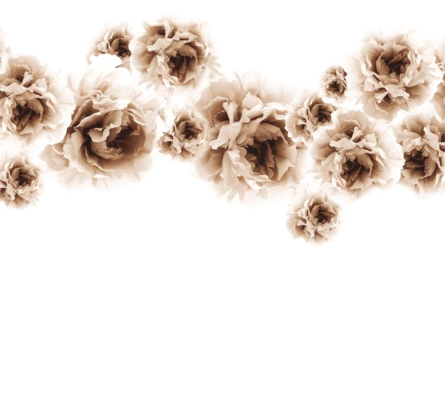 Фотообои на стену - цветы, бежевые, на белом фоне, пионы