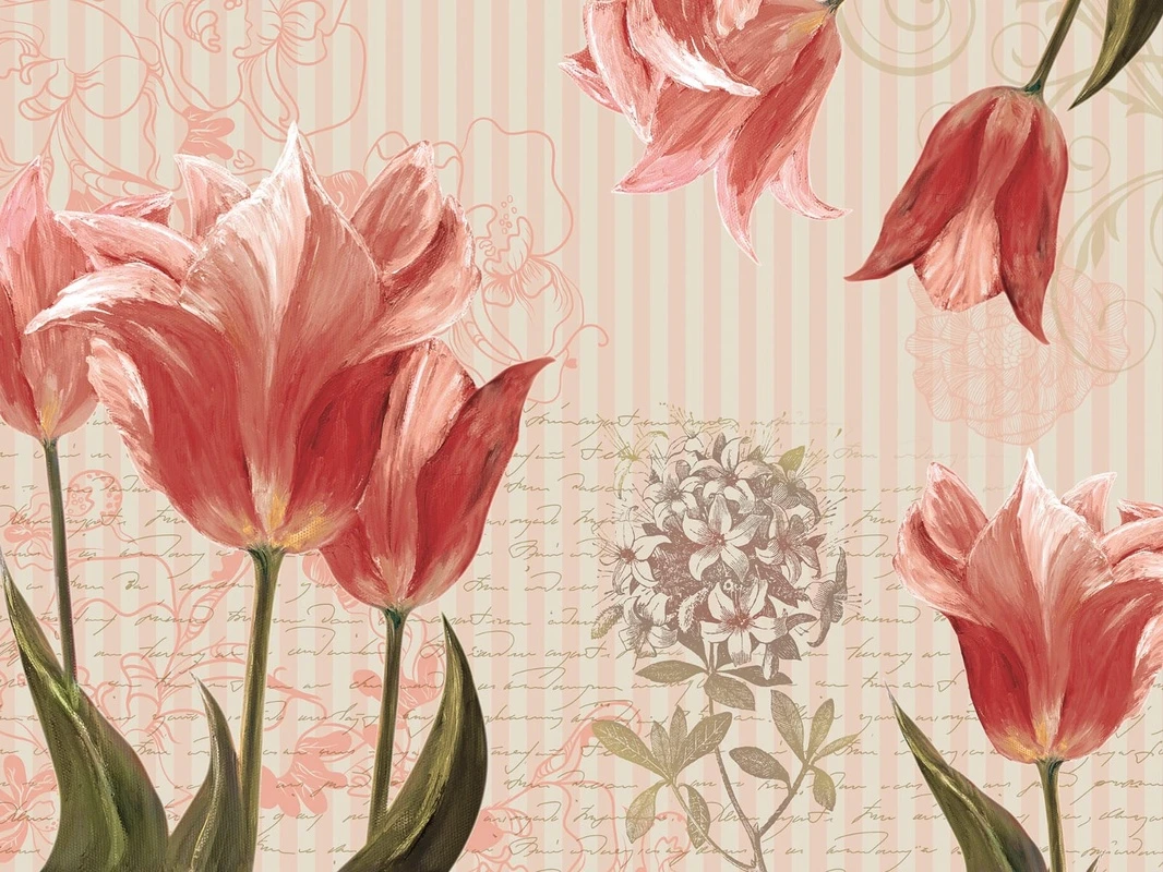 Фотообои на стену - цветы, тюльпаны, красная, на розовом фоне, текст, с текстом