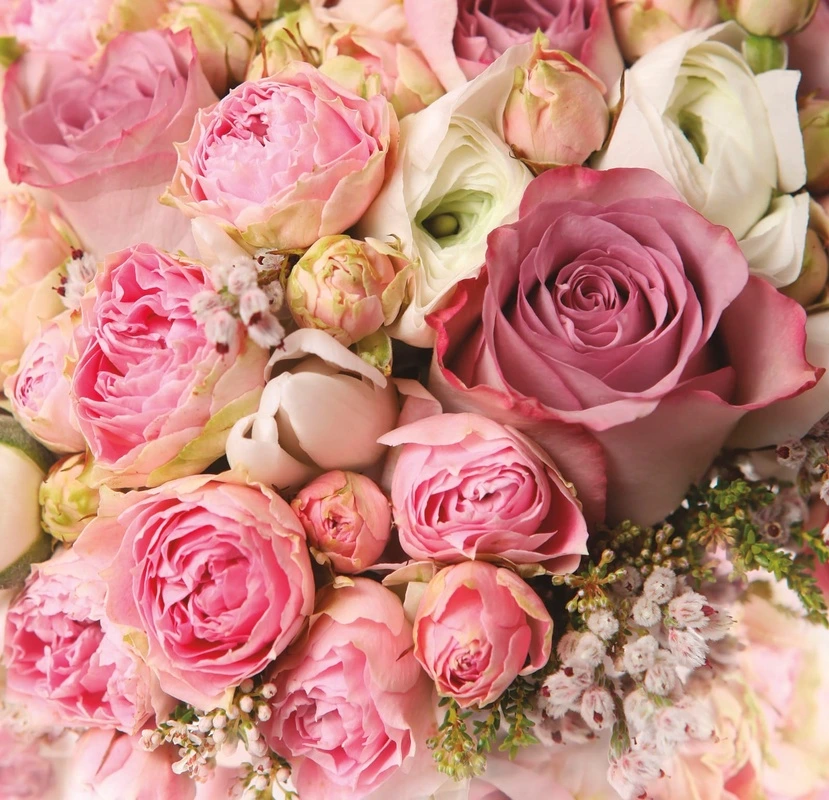 Фотообои на стену - цветы, пионы, розовая, с бутонами, много цветов