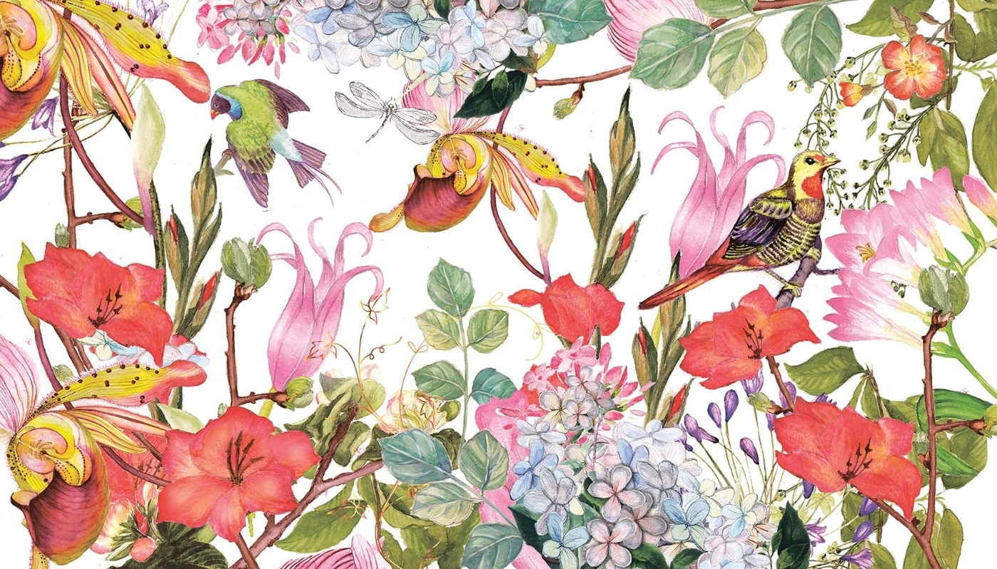 Фотообои на стену - цветы, тропические, шинуазри, красная, на белом фоне, экзотические птицы