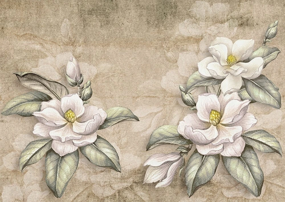 Фотообои на стену - цветы, на бежевом фоне, белые магнолии, рисунок
