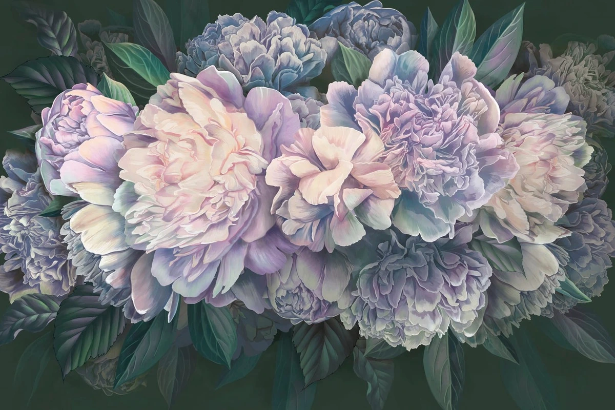 Фотообои на стену - цветы, пионы, крупные, на темном фоне, белые